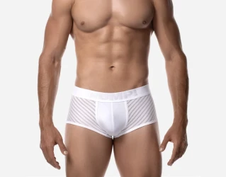 Whisper White Boxer